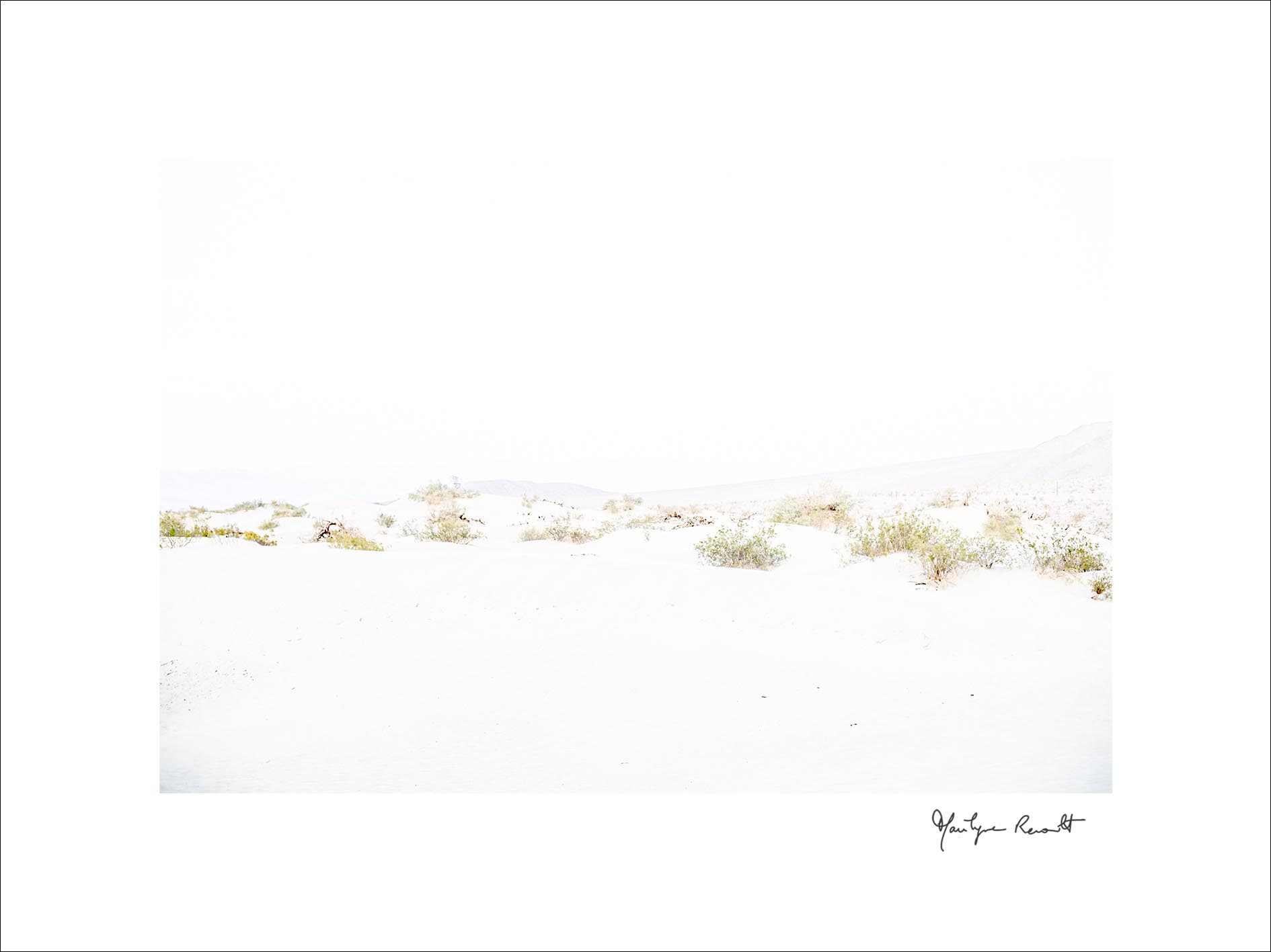 serendipite-A l'ouest-03-web